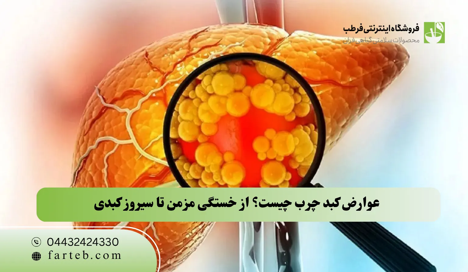 عوارض کبد چرب چیست؟ از خستگی مزمن تا سیروز کبدی