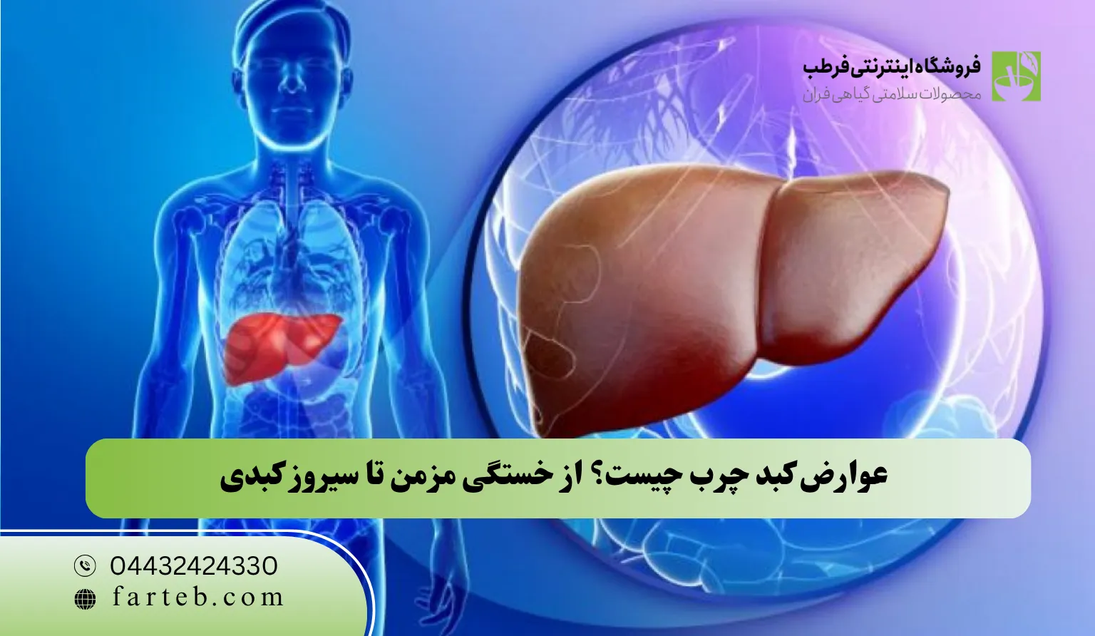 عوارض کبد چرب چیست؟ از خستگی مزمن تا سیروز کبدی