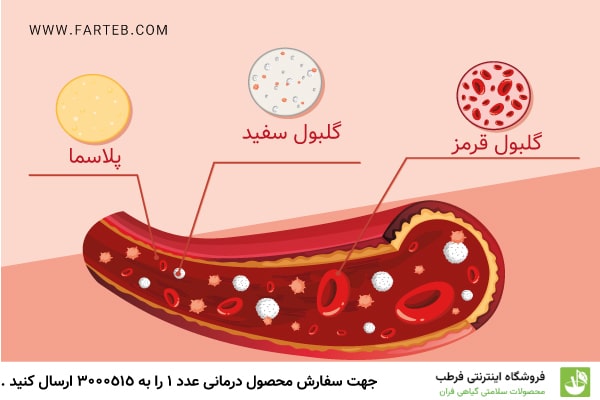کاهش غلظت خون در ۵ روز با گیاهان طبیعی؛ فرمول طب ایرانی