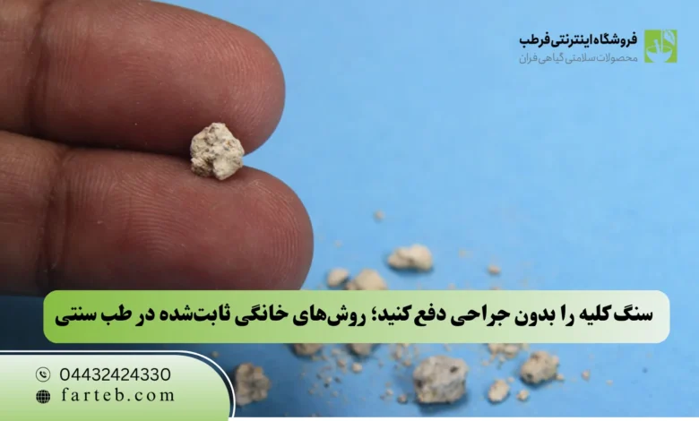 سنگ کلیه را بدون جراحی دفع کنید؛ روش‌های خانگی ثابت‌شده در طب سنتی