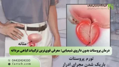 درمان پروستات بدون داروی شیمیایی؛ معرفی قوی‌ترین ترکیبات گیاهی مردانه