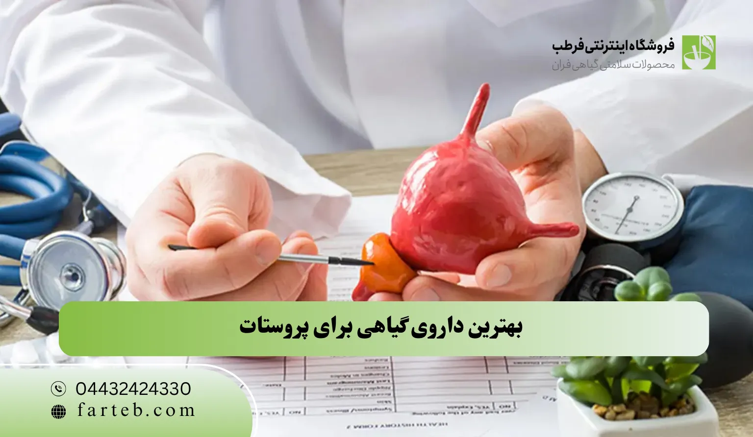 بهترین داروی گیاهی برای پروستات
