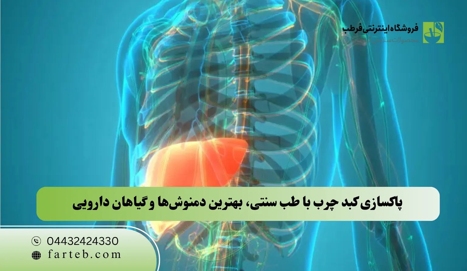 پاکسازی کبد چرب با طب سنتی، بهترین دمنوش‌ها و گیاهان دارویی 