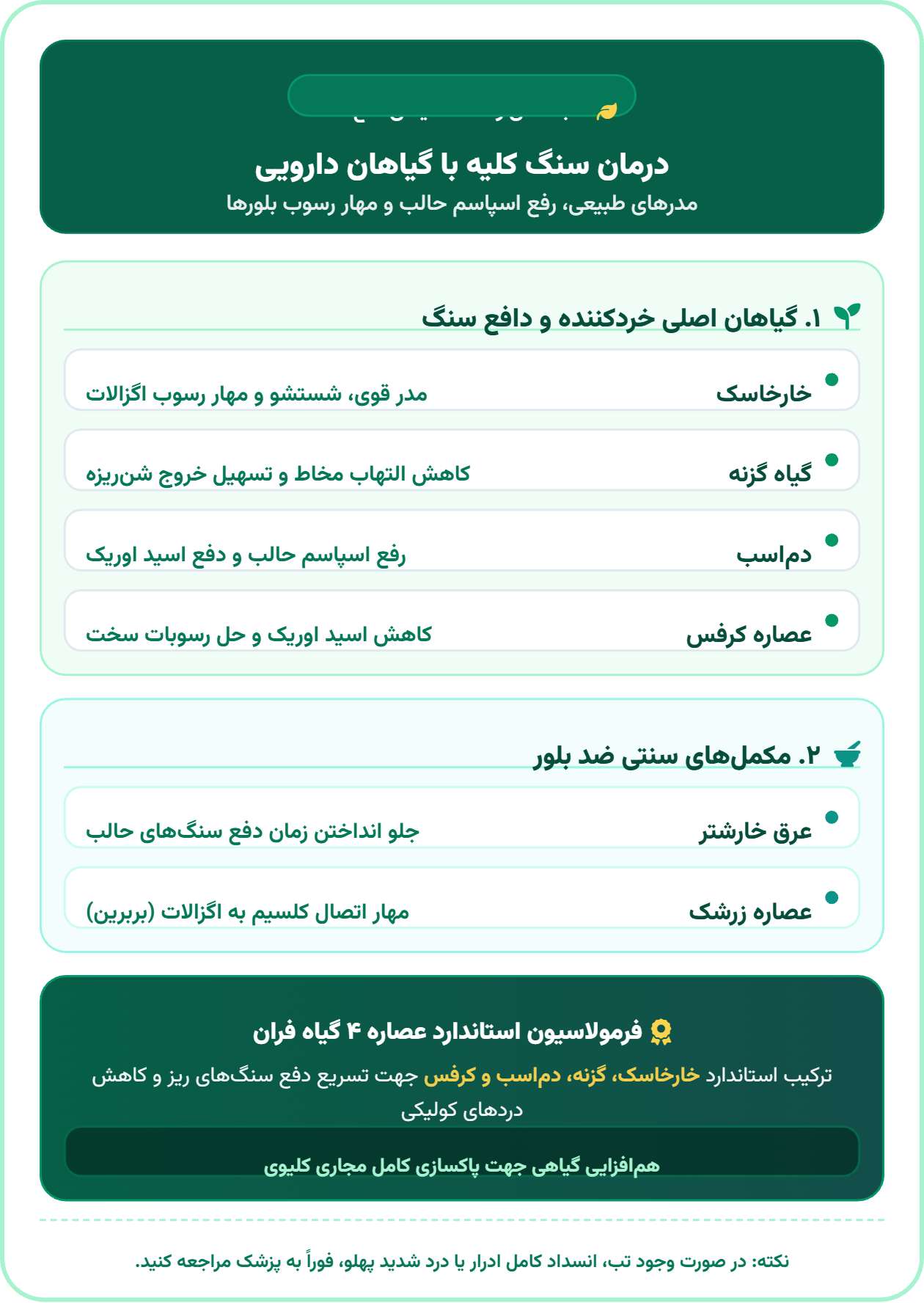 بهترین روش های درمان سنگ کلیه | روش های خانگی، گیاهان دارویی و پزشکی درمان سنگ کلیه با گیاهان دارویی و طب سنتی
